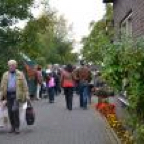 th_DSC_0002_zpsf54e0a84