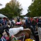 th_DSC_0006_zps82aef9fb