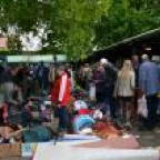 th_DSC_0009_zps0a7486a0