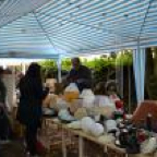 th_DSC_0013_zps33387b8b